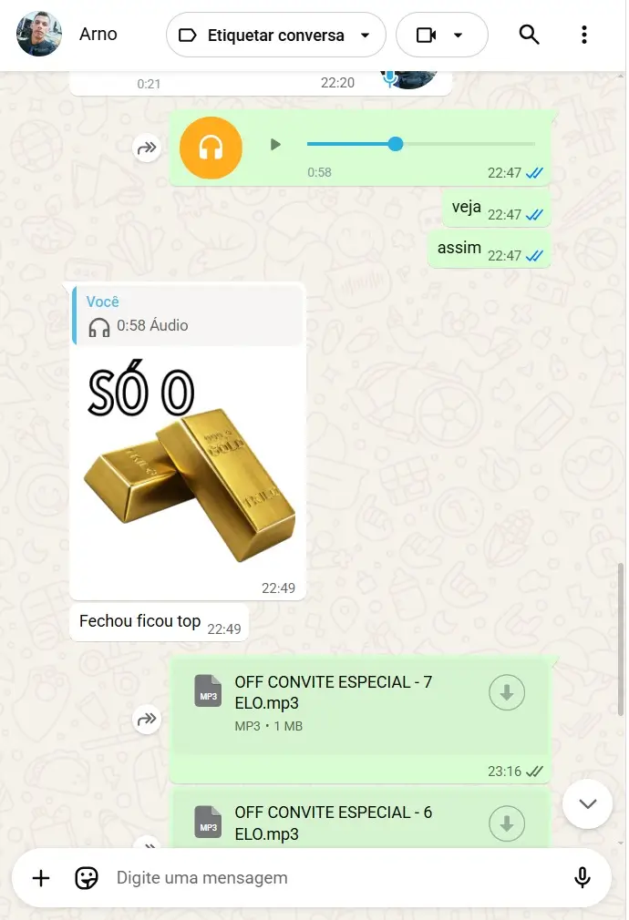 Print de WhatsApp de cliente satisfeito com a locução — Locutores ON